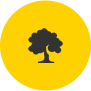 family-tree-icon